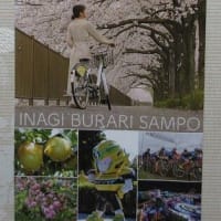 曇天花冷えながら稲城の桜スポットを巡る