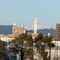 2025-2-13　川原散歩