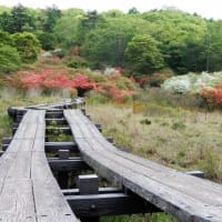 横根山～井戸湿原ハイキング