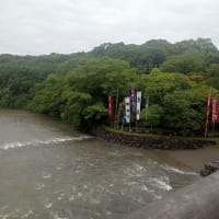 今年の記念旅行