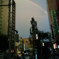 rainbow@tokyo