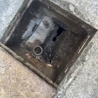 横須賀　トイレつまり　株式会社清水社