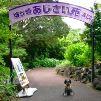アンブレラスカイ