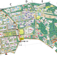 私の旅行計画, 1日目