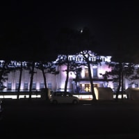 京都市美術館のライトアップ