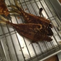 良いことをする