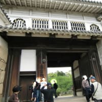 大々的な修復工事中だが、あえての世界文化遺産　国宝姫路城への巻