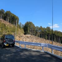 JARL オール日本コンテスト14MHzバンド