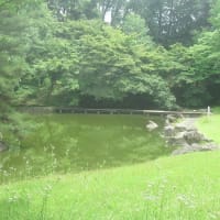 雨あがりで久しぶりに散歩