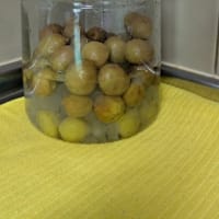 夏がくる