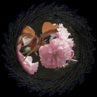 ジィさんの入院 ＆今日のPCアート教室