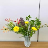 ライセンスコースの投げ入れレッスン♪