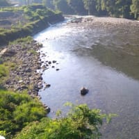 今日の那賀川上流