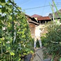 7月7日(月）②