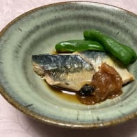 セミナー