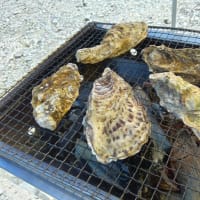 Ｓ先生と oyster