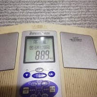 2025.6.17　ブログ更新が遅れました