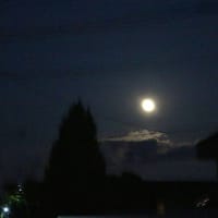 夏至の夜に満月
