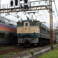 ＥＦ８１８９牽引カシオペアそしてＥＦ６５１００１？　２００５年６月１２日