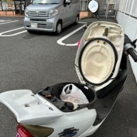 午前中はバイクで「華の金曜日」のデルパラ10　南大沢店へ