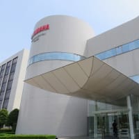 ＦＺＸな日々は永遠に