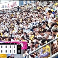 DeNA vs阪神横浜スタジアム