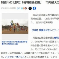 孫と「権現総合公園」へ