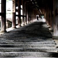 あぢさゐ回廊-奈良県桜井市：長谷寺