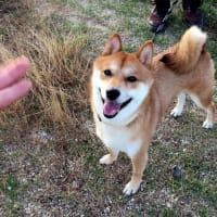 夏休み