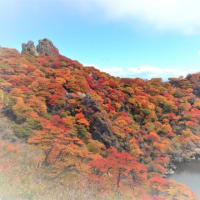 大船山の紅葉は１０月１８日前後から毎年始まる傾向にあると感じる