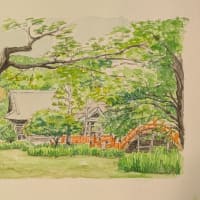 2025. 6.18 : 6.14写生会（金沢文庫　称名寺）