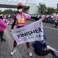 第一回ふくい桜マラソン2024