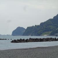 ２０２４年６月６日PM１３：３５分頃の静岡市用宗海岸