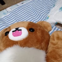がぉーっ