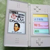ニンテンドーDS　Lite　獲得への道　発売日編