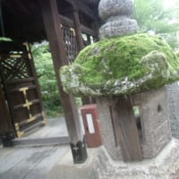 ７月１日を迎え、地元の野見神社⛩にお参りしてきました。