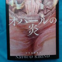 暑い夏は読書で乗り越えよう　「オパールの炎」