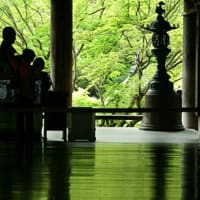 ブログの引っ越しが完了しました！