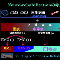 脳障害による麻痺側上肢のニューロリハビリテーションの考え方