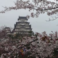現実。