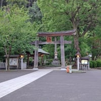 日の長い夕方、境内です