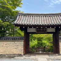 鹿王院＊