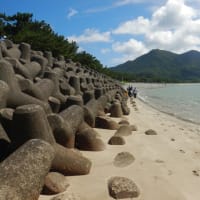 海とともに育つ里中のこどもたち