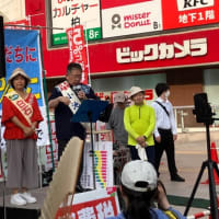 4日目の猛暑に響く小池節