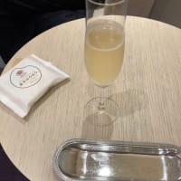 SEEDフリーダム特別版