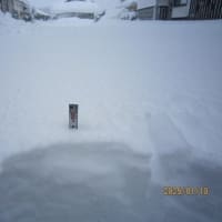 1/10　今日も除雪