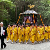 神輿渡御　〜　札幌まつり　