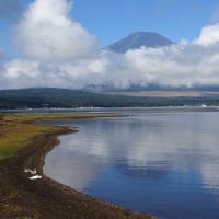 富士山～青木ヶ原樹海と山中湖