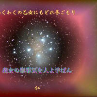あそびこころ写真５７５『　大雪も遊行に花を咲かすなり　』ｘｔｘ０８０１