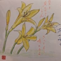「長嶋茂雄記念球場に行けたら」